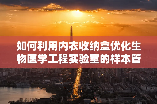 如何利用内衣收纳盒优化生物医学工程实验室的样本管理？