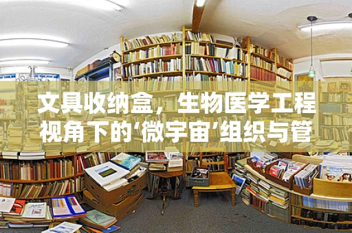文具收纳盒，生物医学工程视角下的‘微宇宙’组织与管理