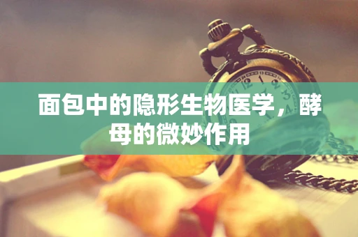 面包中的隐形生物医学，酵母的微妙作用