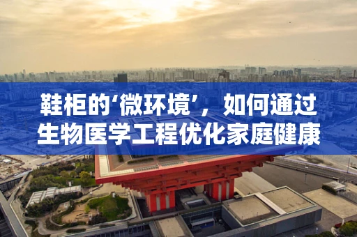 鞋柜的‘微环境’，如何通过生物医学工程优化家庭健康？