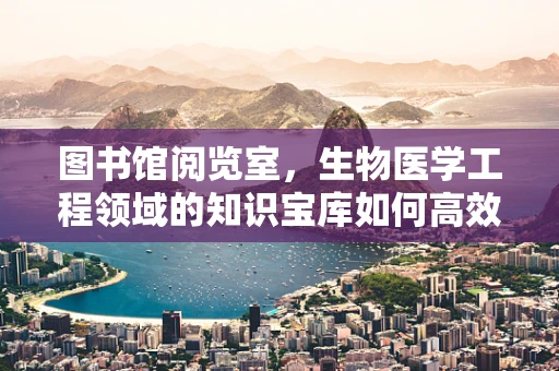 图书馆阅览室，生物医学工程领域的知识宝库如何高效利用？