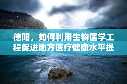 德阳，如何利用生物医学工程促进地方医疗健康水平提升？