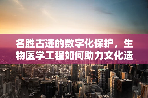 名胜古迹的数字化保护，生物医学工程如何助力文化遗产的永续？