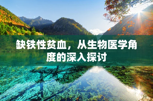 缺铁性贫血，从生物医学角度的深入探讨