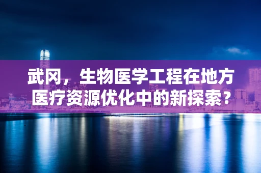 武冈，生物医学工程在地方医疗资源优化中的新探索？