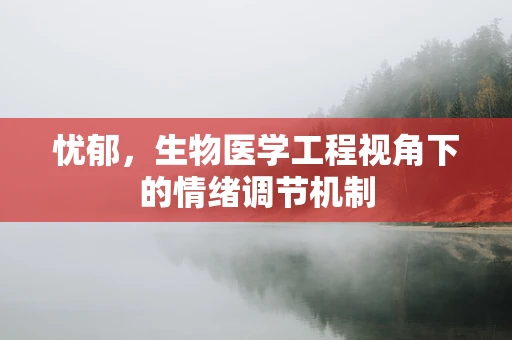 忧郁，生物医学工程视角下的情绪调节机制