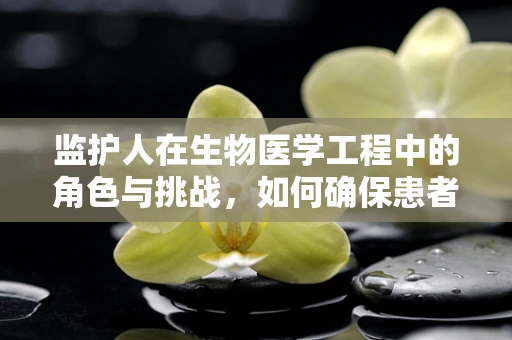 监护人在生物医学工程中的角色与挑战，如何确保患者安全与隐私？