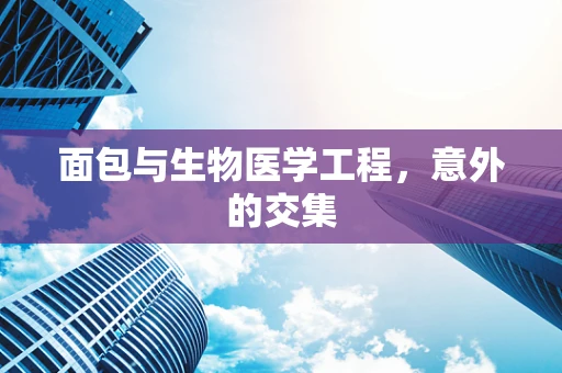 面包与生物医学工程，意外的交集