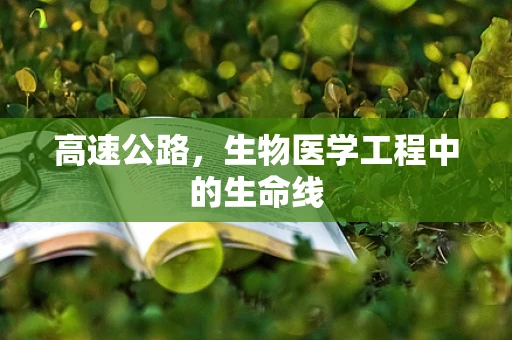 高速公路，生物医学工程中的生命线
