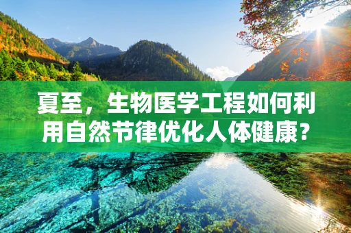 夏至，生物医学工程如何利用自然节律优化人体健康？