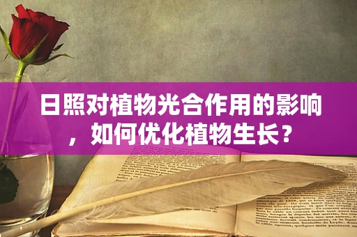 日照对植物光合作用的影响，如何优化植物生长？