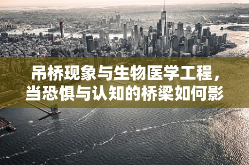 吊桥现象与生物医学工程，当恐惧与认知的桥梁如何影响健康决策？