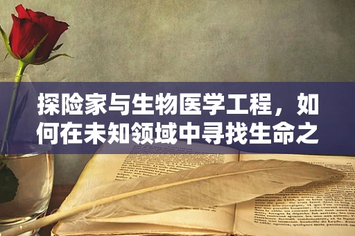 探险家与生物医学工程，如何在未知领域中寻找生命之光？