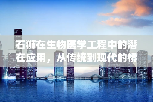 石狮在生物医学工程中的潜在应用，从传统到现代的桥梁