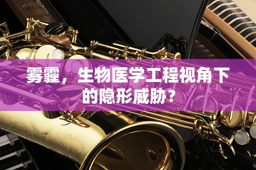 雾霾，生物医学工程视角下的隐形威胁？