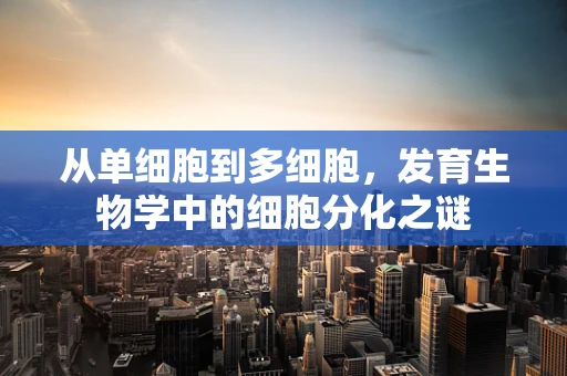 从单细胞到多细胞，发育生物学中的细胞分化之谜