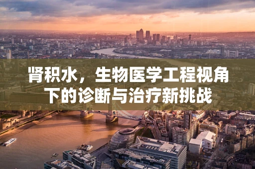 肾积水，生物医学工程视角下的诊断与治疗新挑战