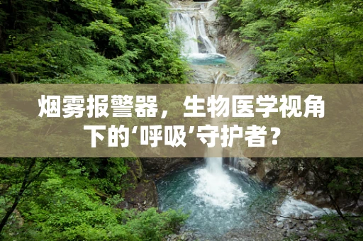 烟雾报警器，生物医学视角下的‘呼吸’守护者？