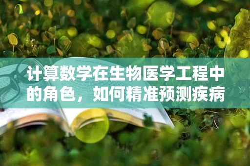 计算数学在生物医学工程中的角色，如何精准预测疾病发展？