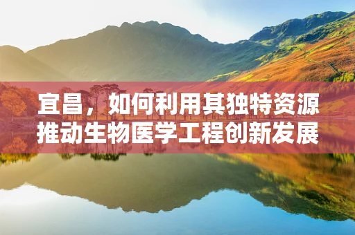 宜昌，如何利用其独特资源推动生物医学工程创新发展？