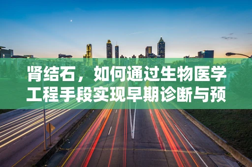 肾结石，如何通过生物医学工程手段实现早期诊断与预防？