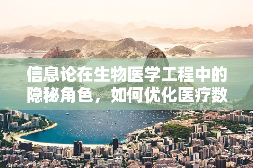 信息论在生物医学工程中的隐秘角色，如何优化医疗数据传输效率？