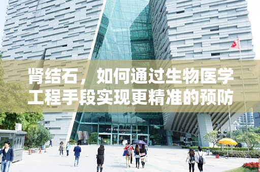 肾结石，如何通过生物医学工程手段实现更精准的预防与治疗？