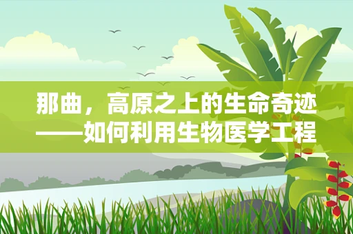 那曲，高原之上的生命奇迹——如何利用生物医学工程提升其医疗可及性？