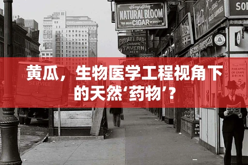 黄瓜，生物医学工程视角下的天然‘药物’？