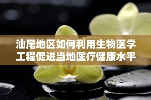 汕尾地区如何利用生物医学工程促进当地医疗健康水平的提升？
