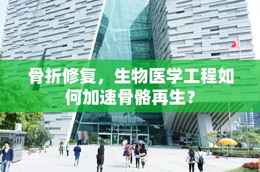 骨折修复，生物医学工程如何加速骨骼再生？