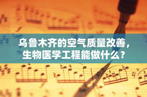 乌鲁木齐的空气质量改善，生物医学工程能做什么？