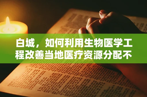 白城，如何利用生物医学工程改善当地医疗资源分配不均？