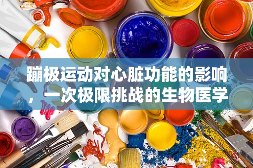 蹦极运动对心脏功能的影响，一次极限挑战的生物医学视角