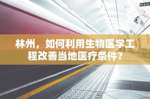 林州，如何利用生物医学工程改善当地医疗条件？