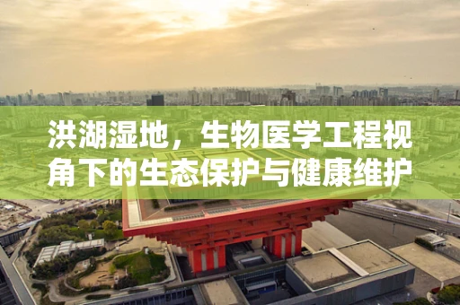 洪湖湿地，生物医学工程视角下的生态保护与健康维护
