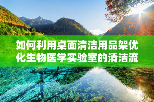 如何利用桌面清洁用品架优化生物医学实验室的清洁流程？