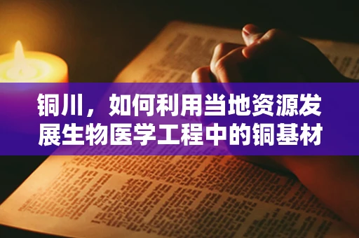 铜川，如何利用当地资源发展生物医学工程中的铜基材料应用？