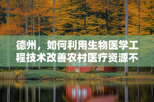 德州，如何利用生物医学工程技术改善农村医疗资源不均？