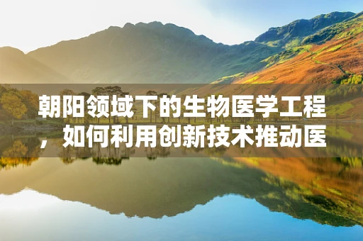 朝阳领域下的生物医学工程，如何利用创新技术推动医疗健康新纪元？