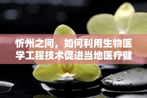 忻州之问，如何利用生物医学工程技术促进当地医疗健康水平提升？