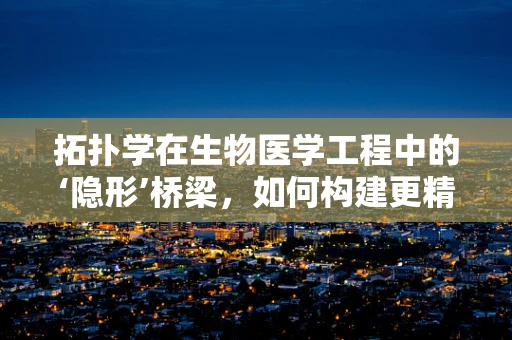 拓扑学在生物医学工程中的‘隐形’桥梁，如何构建更精准的生物结构模型？