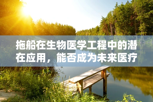 拖船在生物医学工程中的潜在应用，能否成为未来医疗运输的新星？