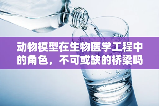 动物模型在生物医学工程中的角色，不可或缺的桥梁吗？