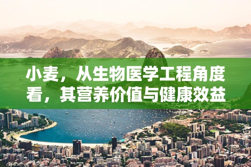 小麦，从生物医学工程角度看，其营养价值与健康效益的优化路径是什么？