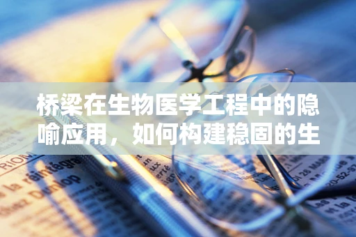 桥梁在生物医学工程中的隐喻应用，如何构建稳固的生命之桥？