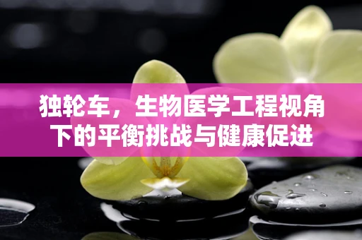 独轮车，生物医学工程视角下的平衡挑战与健康促进