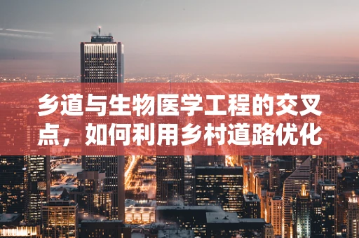 乡道与生物医学工程的交叉点，如何利用乡村道路优化医疗资源配送？