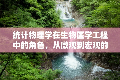 统计物理学在生物医学工程中的角色，从微观到宏观的桥梁