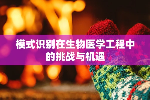 模式识别在生物医学工程中的挑战与机遇